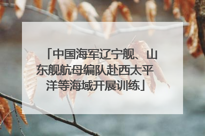 中国海军辽宁舰、山东舰航母编队赴西太平洋等海域开展训练