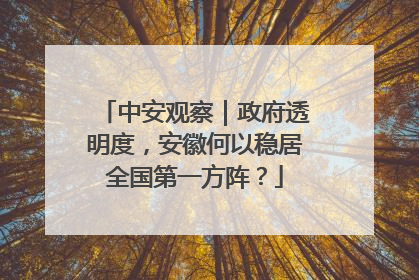 中安观察｜政府透明度，安徽何以稳居全国第一方阵？