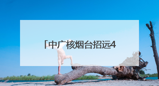 中广核烟台招远400兆瓦海上光伏项目全容量并网发电