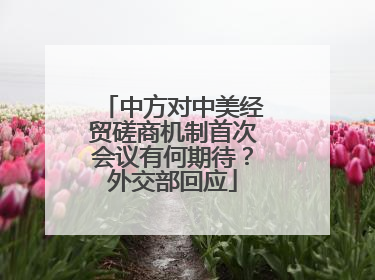 中方对中美经贸磋商机制首次会议有何期待？外交部回应