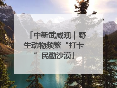 中新武威观｜野生动物频繁“打卡”民勤沙漠