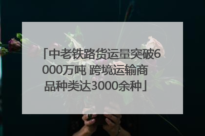 中老铁路货运量突破6000万吨 跨境运输商品种类达3000余种