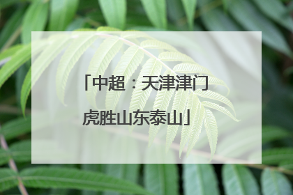 中超：天津津门虎胜山东泰山