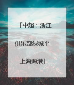中超：浙江俱乐部绿城平上海海港