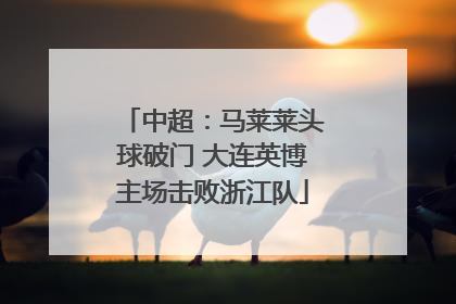 中超：马莱莱头球破门 大连英博主场击败浙江队