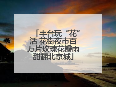 丰台玩“花”活 花街夜市百万片玫瑰花瓣雨甜翻北京城