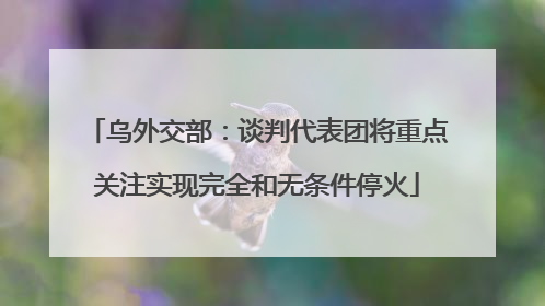 乌外交部：谈判代表团将重点关注实现完全和无条件停火