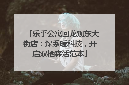 乐乎公寓回龙观东大街店：深系暖科技，开启双栖森活范本