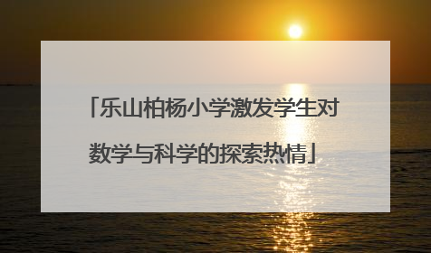 乐山柏杨小学激发学生对数学与科学的探索热情
