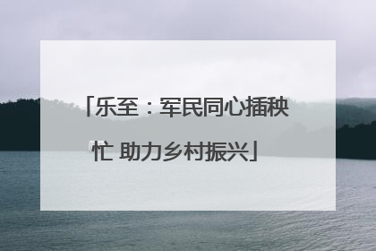 乐至：军民同心插秧忙 助力乡村振兴
