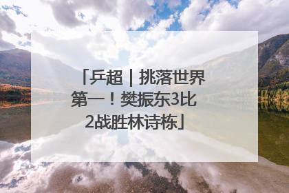 乒超｜挑落世界第一！樊振东3比2战胜林诗栋