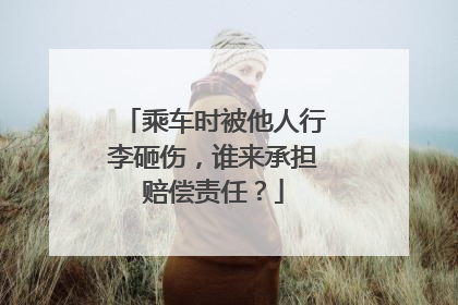 乘车时被他人行李砸伤，谁来承担赔偿责任？