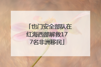 也门安全部队在红海西部解救177名非洲移民