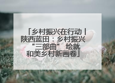 乡村振兴在行动丨陕西蓝田：乡村振兴 “三部曲” 绘就和美乡村新画卷