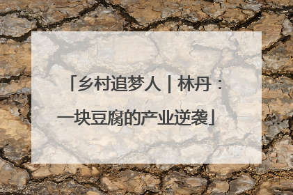 乡村追梦人｜林丹：一块豆腐的产业逆袭