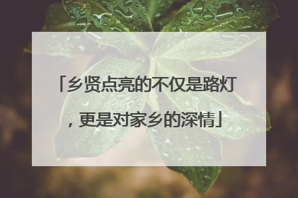 乡贤点亮的不仅是路灯，更是对家乡的深情