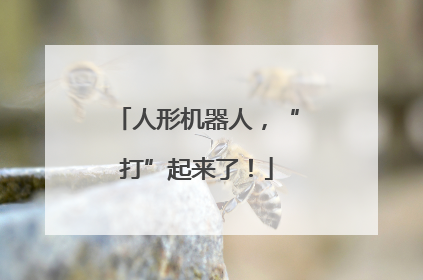 人形机器人，“打”起来了！