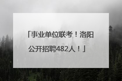 事业单位联考！洛阳公开招聘482人！