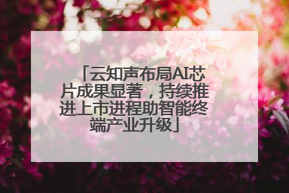云知声布局AI芯片成果显著，持续推进上市进程助智能终端产业升级
