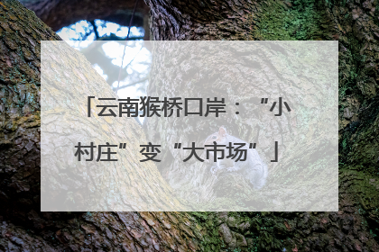 云南猴桥口岸：“小村庄”变“大市场”