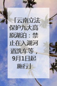 云南立法保护九大高原湖泊：禁止在入湖河道洗车等，9月1日起施行