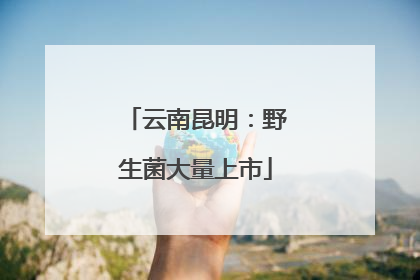 云南昆明：野生菌大量上市