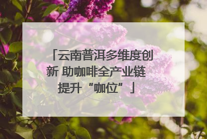云南普洱多维度创新 助咖啡全产业链提升“咖位”