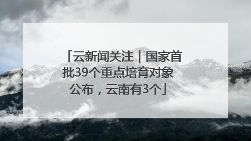 云新闻关注｜国家首批39个重点培育对象公布，云南有3个