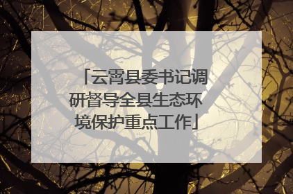 云霄县委书记调研督导全县生态环境保护重点工作