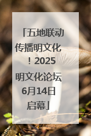 五地联动传播明文化！2025明文化论坛6月14日启幕