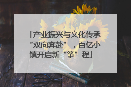 产业振兴与文化传承“双向奔赴”，百亿小镇开启新“筝”程