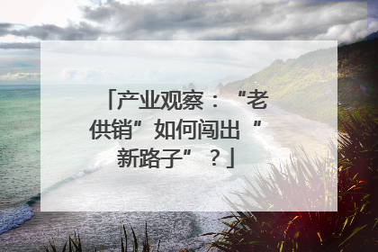 产业观察：“老供销”如何闯出“新路子”？