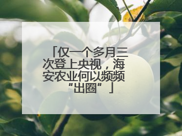 仅一个多月三次登上央视，海安农业何以频频“出圈”
