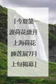 今夏第一波荷花盛开 上海荷花睡莲展7月上旬揭幕
