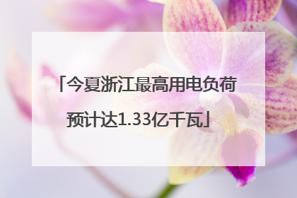 今夏浙江最高用电负荷预计达1.33亿千瓦