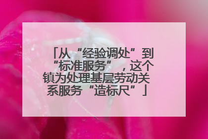 从“经验调处”到“标准服务”，这个镇为处理基层劳动关系服务“造标尺”
