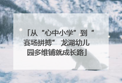 从“心中小学”到“赛场拼搏” 龙湖幼儿园多维铺就成长路