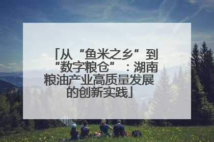 从“鱼米之乡”到“数字粮仓”：湖南粮油产业高质量发展的创新实践