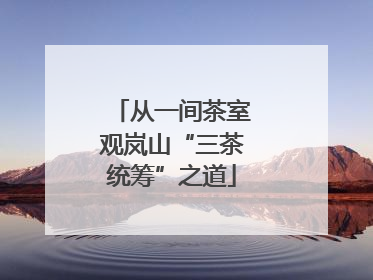 从一间茶室观岚山“三茶统筹”之道