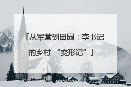 从军营到田园：李书记的乡村 “变形记”