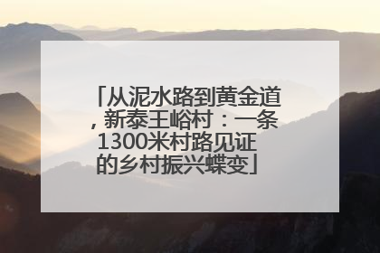 从泥水路到黄金道，新泰王峪村：一条1300米村路见证的乡村振兴蝶变