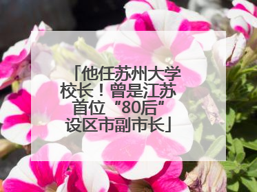 他任苏州大学校长！曾是江苏首位“80后”设区市副市长