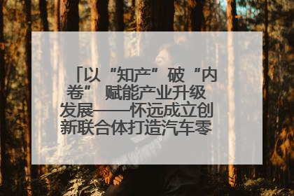 以“知产”破“内卷” 赋能产业升级发展——怀远成立创新联合体打造汽车零部件产业新高地
