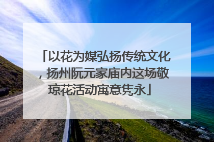 以花为媒弘扬传统文化，扬州阮元家庙内这场敬琼花活动寓意隽永