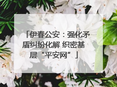 伊春公安：强化矛盾纠纷化解 织密基层“平安网”
