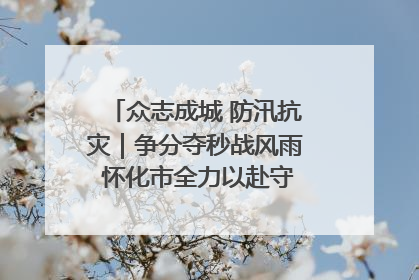 众志成城 防汛抗灾｜争分夺秒战风雨 怀化市全力以赴守护人民群众安全