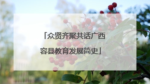 众贤齐聚共话广西容县教育发展简史