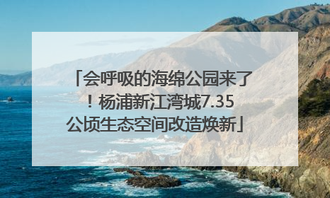 会呼吸的海绵公园来了！杨浦新江湾城7.35公顷生态空间改造焕新