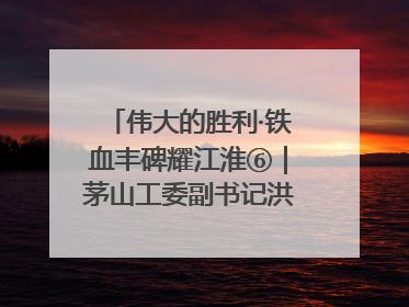 伟大的胜利·铁血丰碑耀江淮⑥｜茅山工委副书记洪天诚的亲笔信