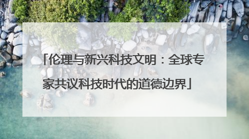 伦理与新兴科技文明：全球专家共议科技时代的道德边界